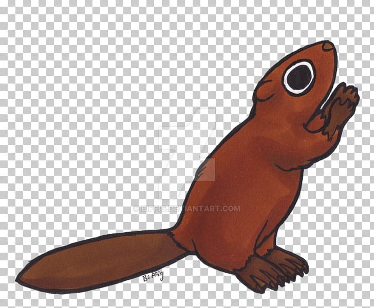 Beaver Rodent Mammal Animal Pinniped PNG, Clipart, Animal, Animals, Beak, Beaver, Carnivora Free PNG Download