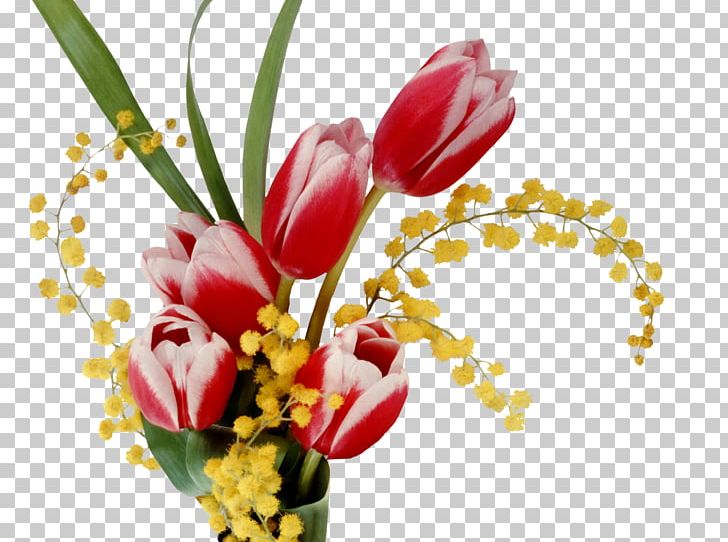 Laptop Desktop Flower Tulip PNG, Clipart, 4k Resolution, 1080p, Color, Computer, Cut Flowers Free PNG Download