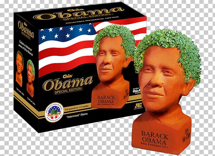 Barack Obama Chia Pet Mitt Romney Chia Seed PNG, Clipart, Barack Obama, Chia, Chia Pet, Chia Seed, Dog Free PNG Download