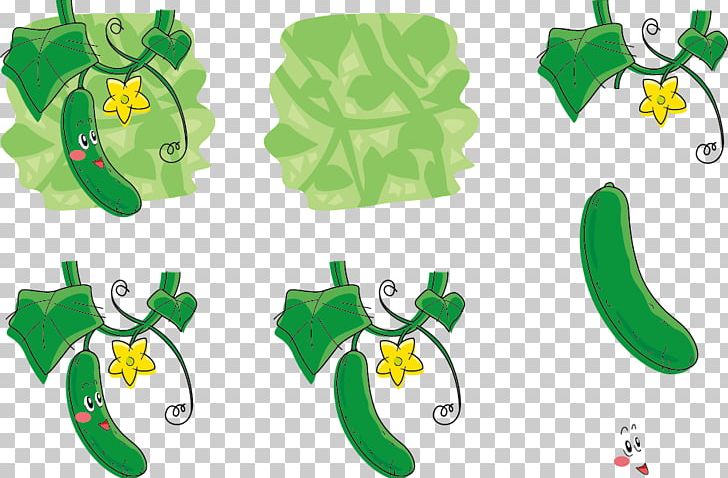Cucumber Sponge Gourd Vegetable Auglis PNG, Clipart, Dipping Sauce, Encapsulated Postscript, Flower, Flowers, Gourd Free PNG Download