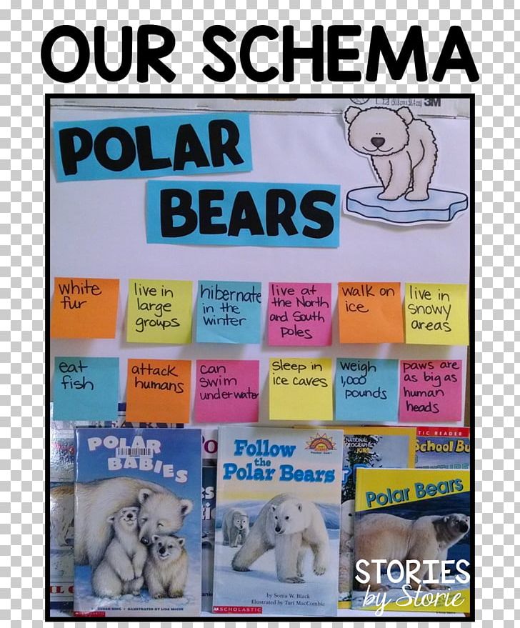 How Do Polar Bears Stay Warm? Homework Classroom PNG, Clipart, Advertising, Animals, Bear, Book, Class Free PNG Download
