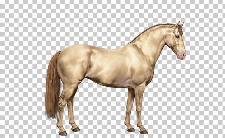 Mane Mustang American Paint Horse American Quarter Horse Stallion PNG, Clipart, American Paint Horse, American Quarter Horse, Animal Figure, Breed, Bridle Free PNG Download