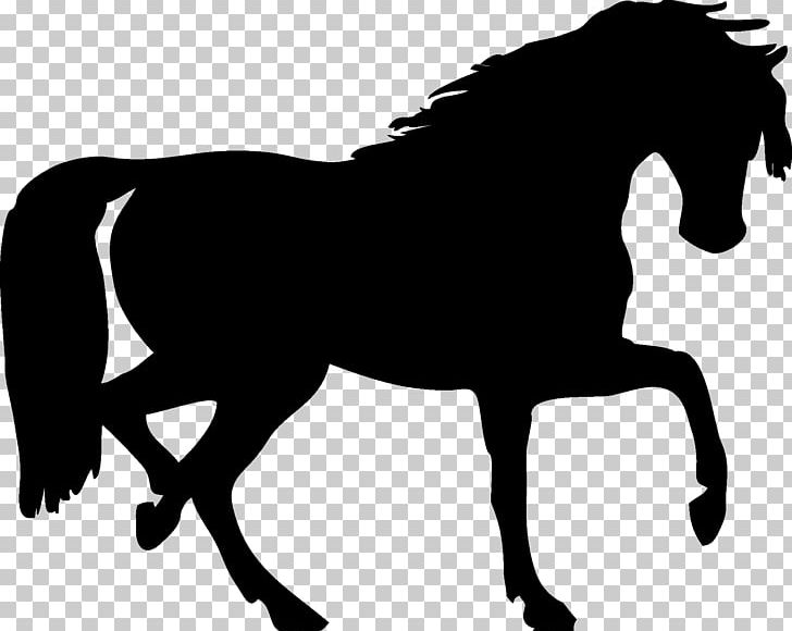 Mustang Silhouette PNG, Clipart, Black, Black And White, Bridle, Colt, Draft Horse Free PNG Download