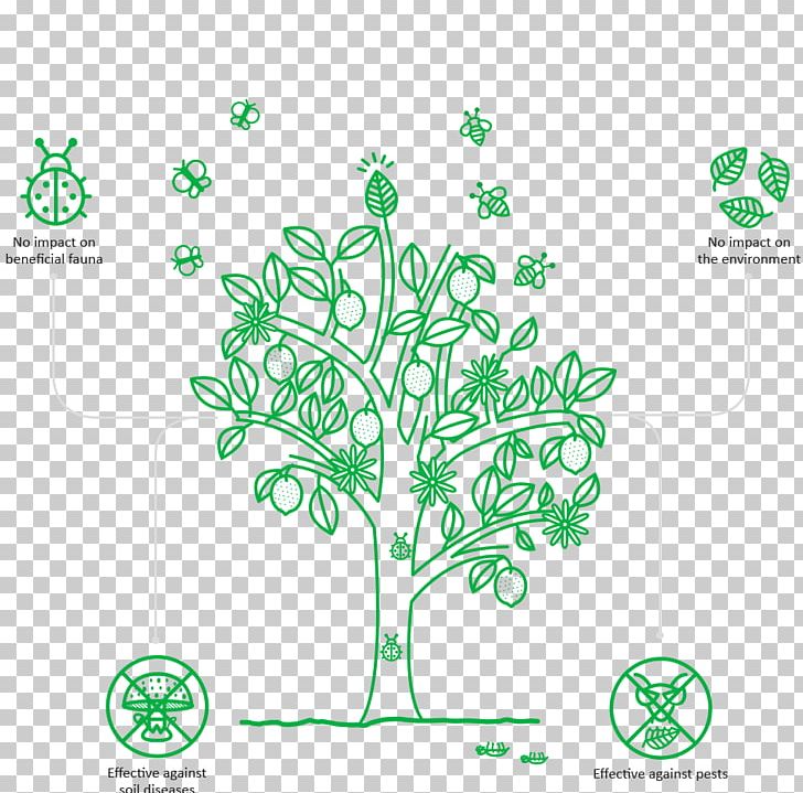 Leaf Plant Stem PNG, Clipart, Area, Branch, Branching, Diagram, Flora Free PNG Download