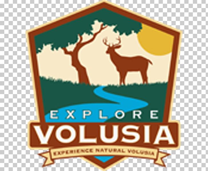 New Smyrna Beach Volusia Graphic Design PNG, Clipart, Area, Brand, City, Florida, Graphic Design Free PNG Download