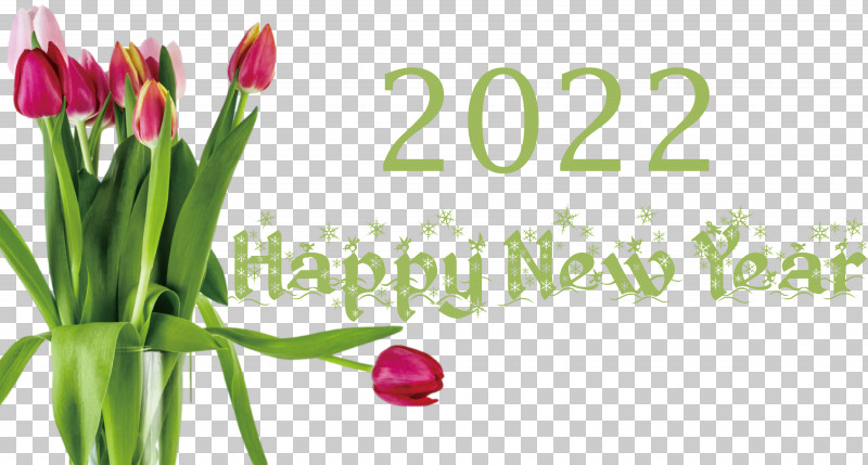 2022 Happy New Year 2022 New Year 2022 PNG, Clipart, Cut Flowers, Floral Design, Flower, Local Food, Meter Free PNG Download