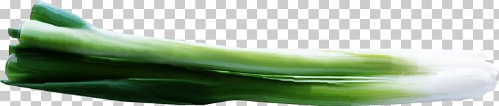 Cucumber Shoe Close-up PNG, Clipart, Background Green, Beautiful, Chef, Closeup, Creative Free PNG Download