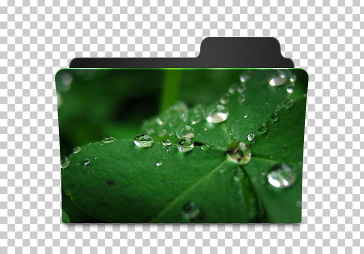 Desktop High-definition Television 1080p Photography PNG, Clipart, 4k Resolution, 720p, 1080p, Clover, Desktop Environment Free PNG Download