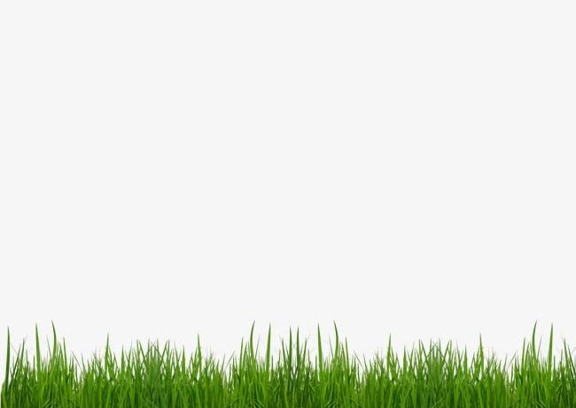 Grass Strips PNG, Clipart, Grass, Grass Clipart, Green, Green Leaves, Leaves Free PNG Download