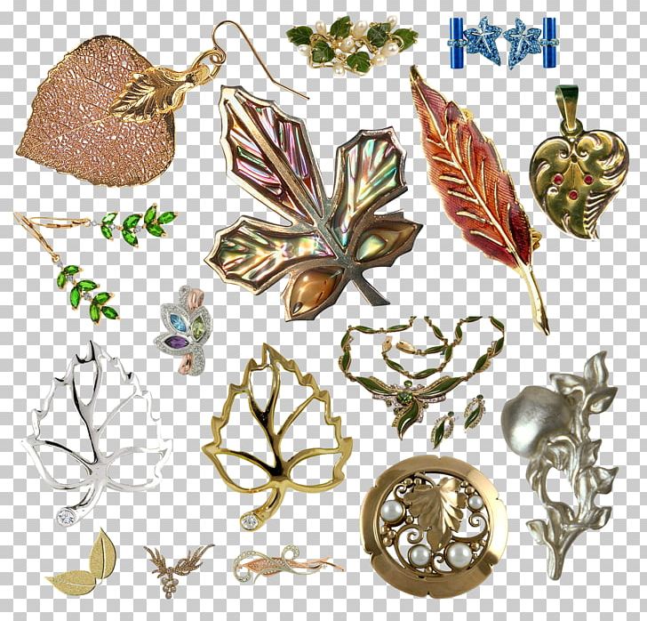 Leaf PNG, Clipart, Autumn Leaf, Charm, Clip Art, Display Resolution, Download Free PNG Download