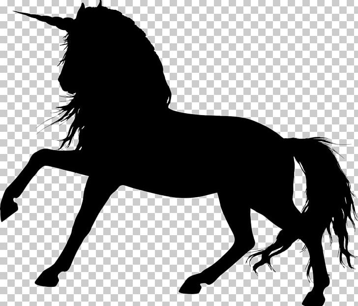 Mustang Equestrian Colt PNG, Clipart, Black And White, Bridle, English Riding, Equestrian, Fictional Character Free PNG Download