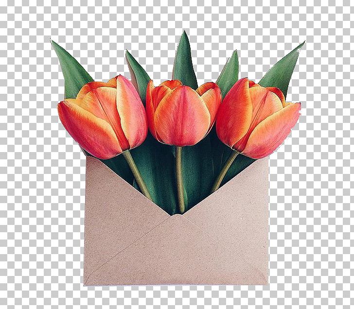 Paper Flower Bouquet Envelope Floral Design PNG, Clipart, Composition, Cut Flowers, Floristry, Flower, Flower Garden Free PNG Download
