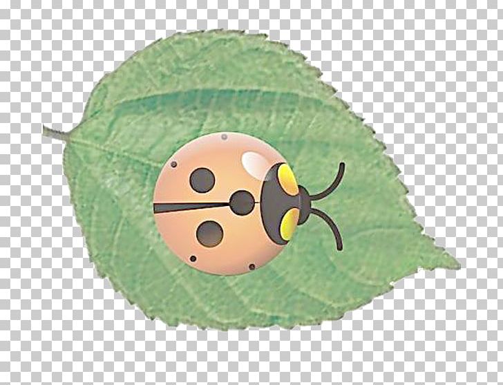 Ladybird Insect PNG, Clipart, Animal, Beetle, Cute Ladybug, Google, Grass Free PNG Download