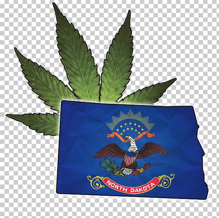 New Jersey North Dakota Leaf U.S. State Flag PNG, Clipart, Ballot, Flag, Garden, Hepatitis, Hiv Free PNG Download