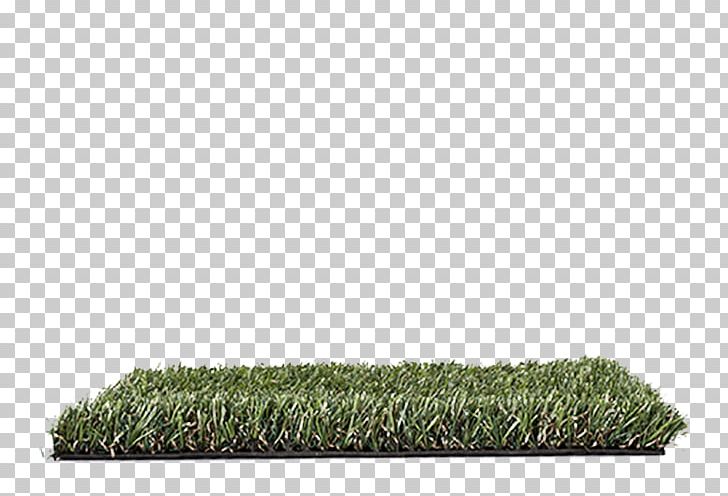Artificial Turf Lawn Floor Oryzon Genomics Fireproofing PNG, Clipart, Acacieae, Architectural Engineering, Artificial Turf, Brochure, Emerald Pointe Free PNG Download