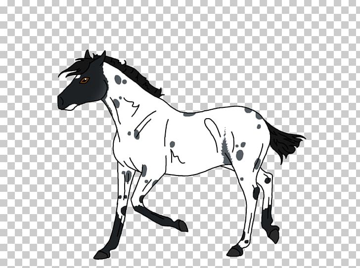 Mule Foal Stallion Colt Pony PNG, Clipart, Black And White, Bridle, Cattle Like Mammal, Deviantart, Donkey Free PNG Download