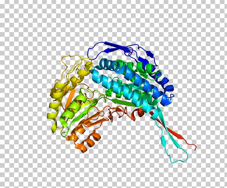 Aldehyde Dehydrogenase 5 Family PNG, Clipart, 5 A, 5 Family, Aldehyde, Aldehyde Dehydrogenase, Art Free PNG Download