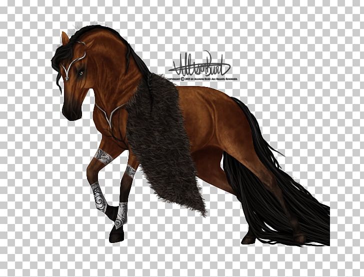 Mane Mustang Halter Stallion Mare PNG, Clipart, Alanis Morissette, Bridle, Equestrian, Halter, Harness Racing Free PNG Download