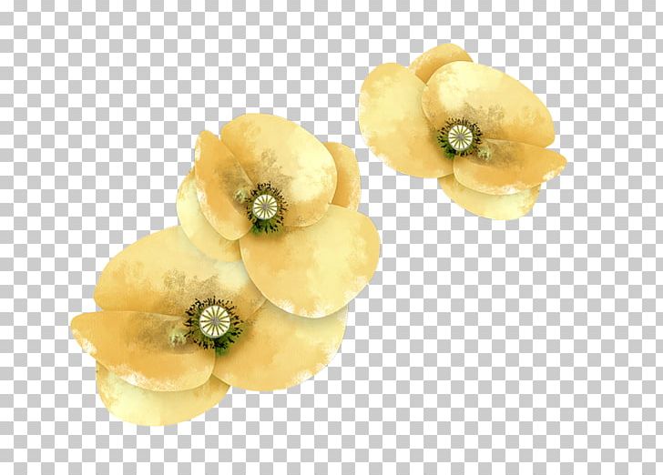 Photography Frames Flower PNG, Clipart, Birthday, Body Jewellery, Body Jewelry, Color, Flower Free PNG Download