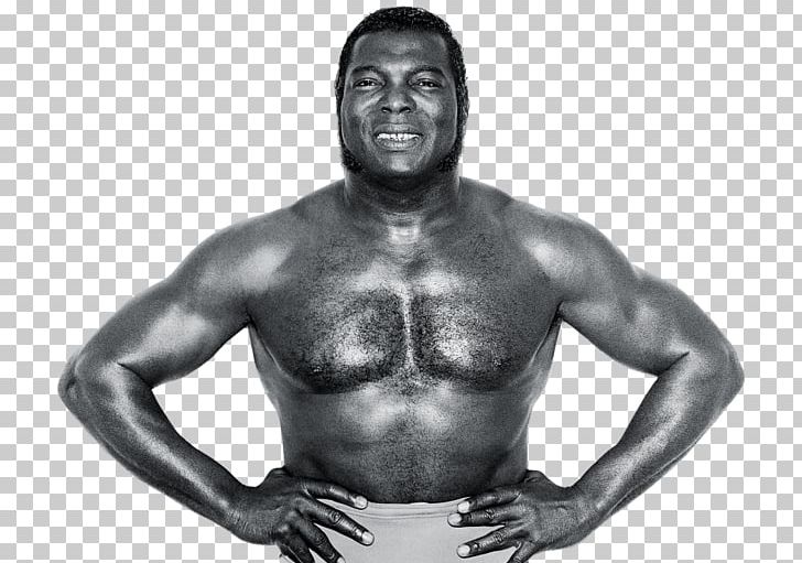 Bobo Brazil Professional Wrestler The Four Horsemen Headbutt Professional Wrestling PNG, Clipart, Abdomen, African American, Aggression, Alex Riley, Arm Free PNG Download