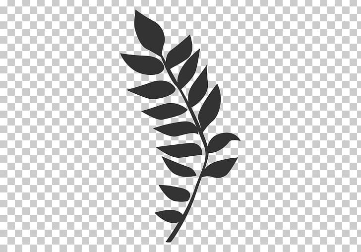 Leaf Line Fern PNG, Clipart, Black And White, Branch, Computer Icons, Encapsulated Postscript, Fern Free PNG Download