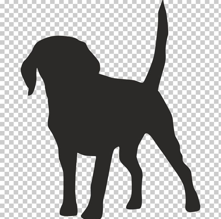 Puppy Dalmatian Dog Dachshund Dog Grooming Wall Decal PNG, Clipart, Animals, Black, Black And White, Canidae, Carnivoran Free PNG Download