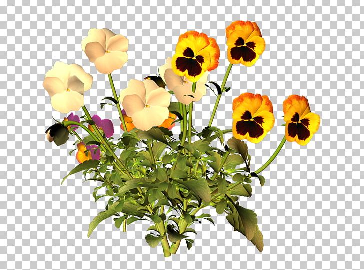 Wildflower Blume PNG, Clipart, 2017, Annual Plant, Author, Birthday, Blume Free PNG Download