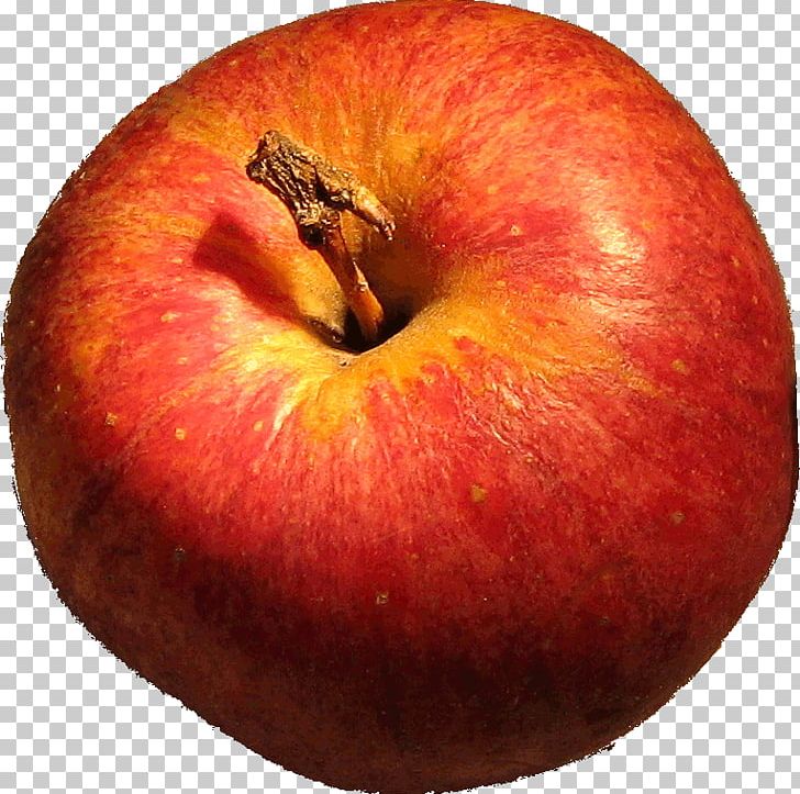 Apple Food PNG, Clipart, Apple, Food, Fruit, Fruit Nut, Graphic Design Free PNG Download