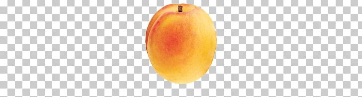 Apricot PNG, Clipart, Apricot Free PNG Download