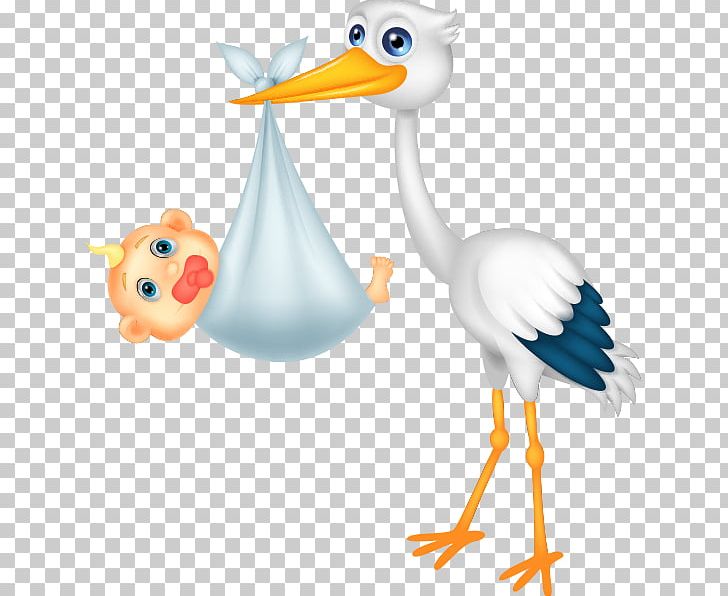 Child PNG, Clipart, Animal Figure, Art, Baby, Beak, Bird Free PNG Download