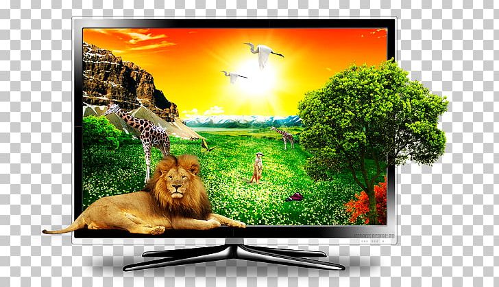 LCD Television Television Set LED-backlit LCD 3D Television PNG, Clipart, 3d Tv, Advertising, Computer, Computer Monitor, Computer Monitors Free PNG Download