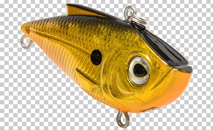 Spoon Lure Perch Fish AC Power Plugs And Sockets PNG, Clipart, Ac Power Plugs And Sockets, Bait, Fish, Fishing Bait, Fishing Lure Free PNG Download