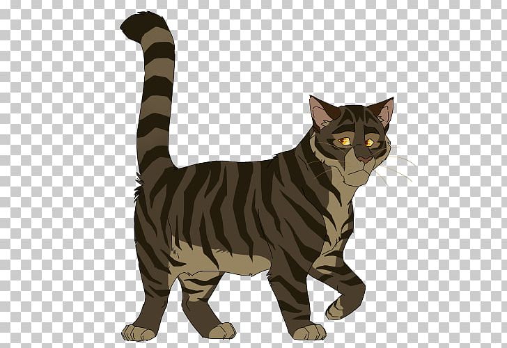 Tabby Cat American Shorthair American Wirehair Manx Cat European Shorthair PNG, Clipart, American Wirehair, Animals, Asian, Brambleclaw, California Spangled Free PNG Download
