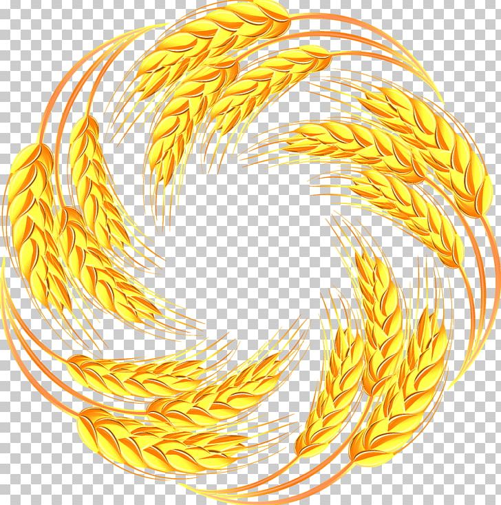 Wheat Caryopsis Illustration PNG, Clipart, Cartoon Wheat, Caryopsis, Circle, Commodity, Ear Free PNG Download