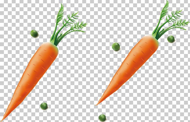 Baby Carrot Diet Food Fruit PNG, Clipart, Baby Carrot, Bunch Of Carrots, Carrot, Carrot Cartoon, Carrot Juice Free PNG Download