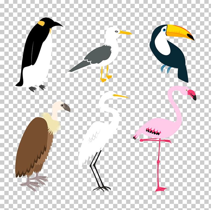 Bird Flamingos Crane Plot PNG, Clipart, Animal, Animation, Beak, Bird Cage, Black And White Free PNG Download