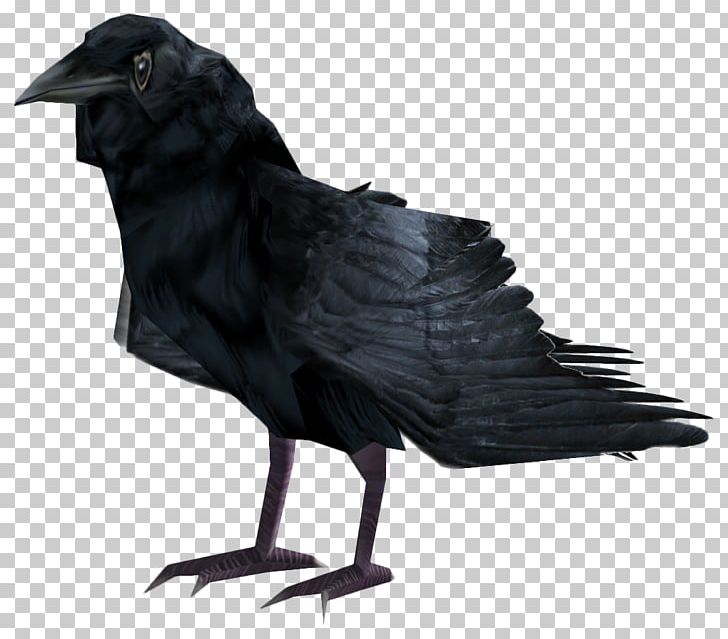 Fallout 4 American Crow Common Raven Bird Fish Crow PNG, Clipart, American Crow, Animals, Beak, Bird, Common Raven Free PNG Download