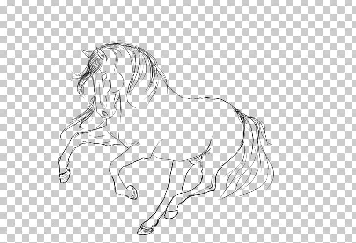 Mane Horse Pony Line Art Sketch PNG, Clipart, Animal Figure, Animals, Arm, Art, Artwork Free PNG Download