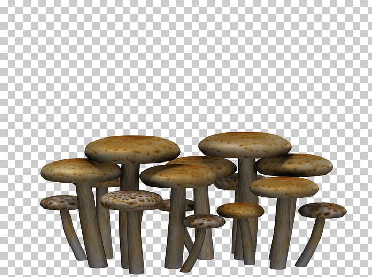 Mushrooms Flat Heads PNG, Clipart, Mushrooms, Nature Free PNG Download