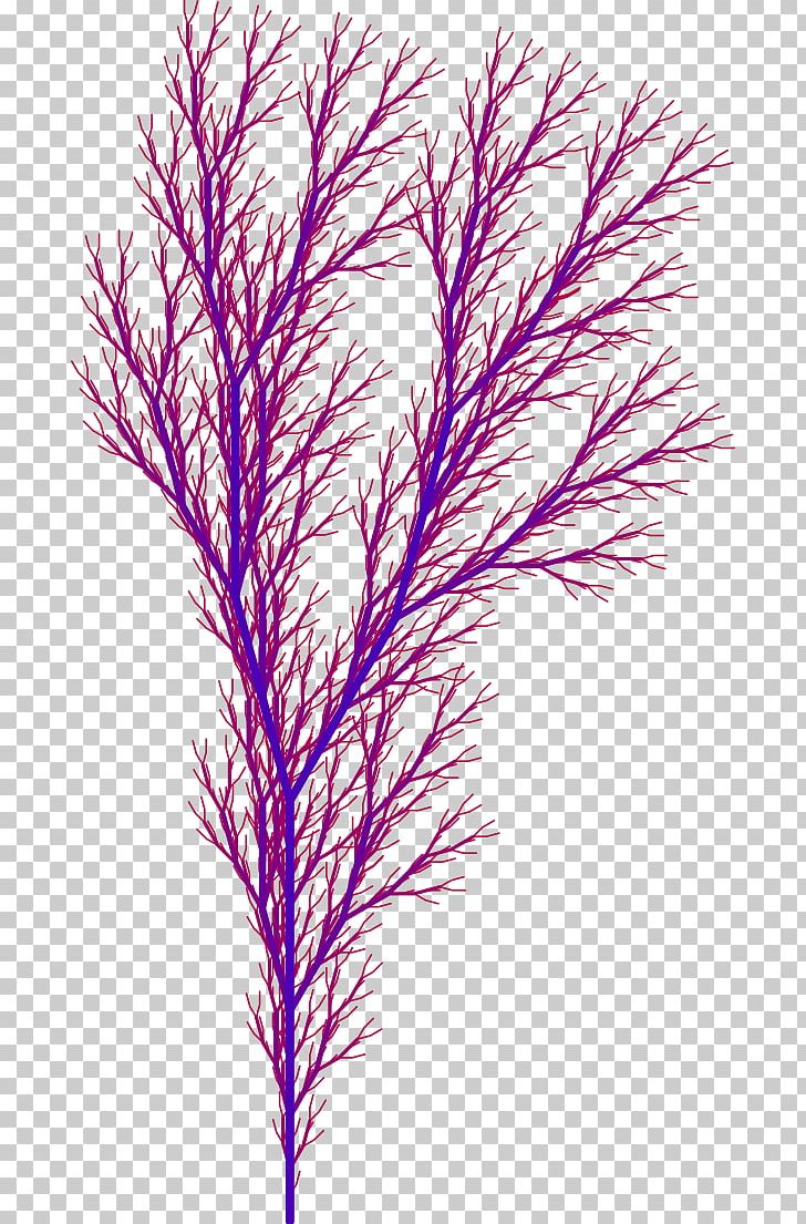 Twig Grasses Plant Stem Leaf Line PNG, Clipart, Branch, Family, Feather, Grass, Grasses Free PNG Download