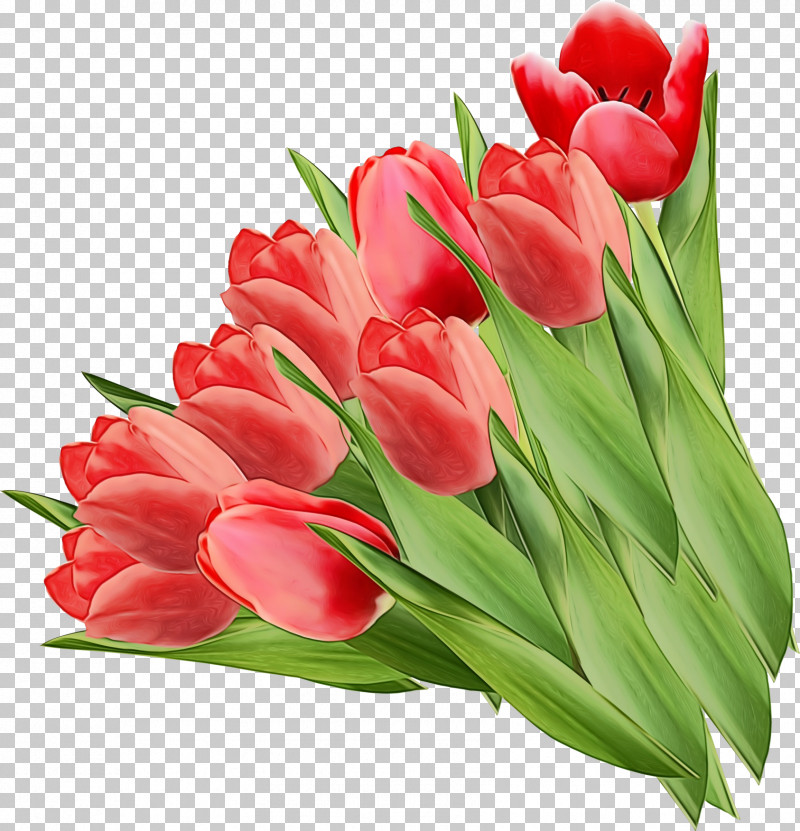 Artificial Flower PNG, Clipart, Artificial Flower, Bouquet, Cut Flowers, Flower, Gladiolus Free PNG Download