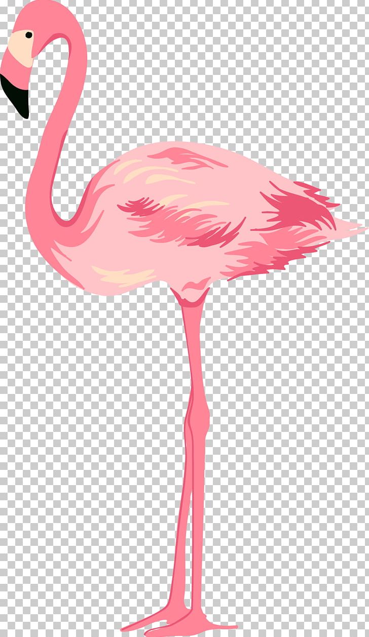 Cygnini Pink PNG, Clipart, Adobe Illustrator, Animals, Beak, Beautiful, Bird Free PNG Download