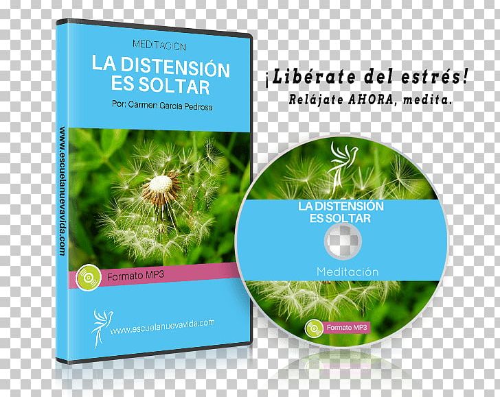Ecosystem Life Brand Brochure School PNG, Clipart, Advertising, Brand, Brochure, Dani Pedrosa, Ecosystem Free PNG Download