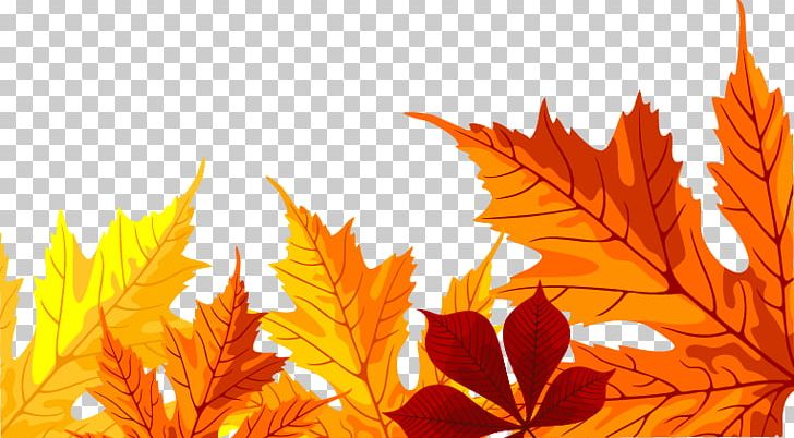 Maple Leaf PNG, Clipart, Autumn Leaf Color, Computer, Computer Wallpaper, Geometric Pattern, Leaf Free PNG Download
