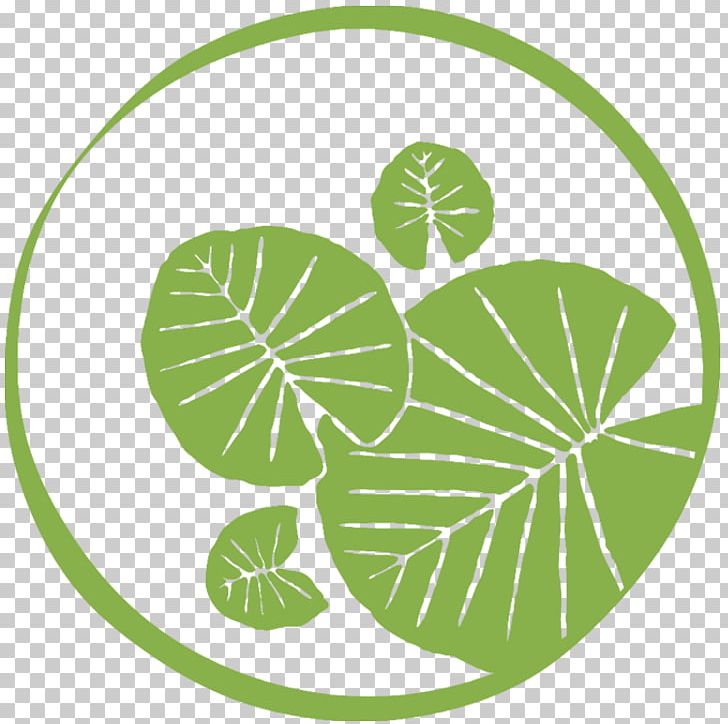 The Lily Pad At Byron Main Beach Accommodation Tree Hamburger PNG, Clipart, Accommodation, Byron, Byron Bay, Byron Shire, Circle Free PNG Download