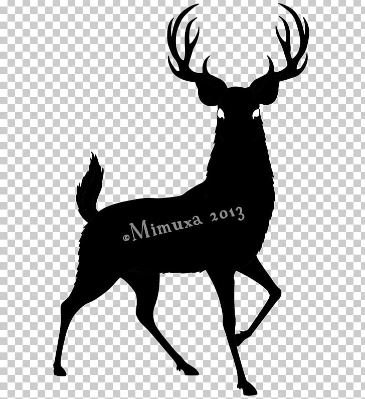 White-tailed Deer Moose Graphics PNG, Clipart, Animals, Antler, Biggame Hunting, Black And White, Blacktailed Deer Free PNG Download