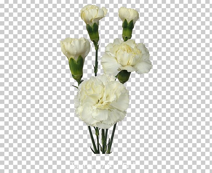 Floral Design Cut Flowers Vase Flower Bouquet PNG, Clipart, Artificial Flower, Carnation, Colibri, Cut Flowers, Family Free PNG Download