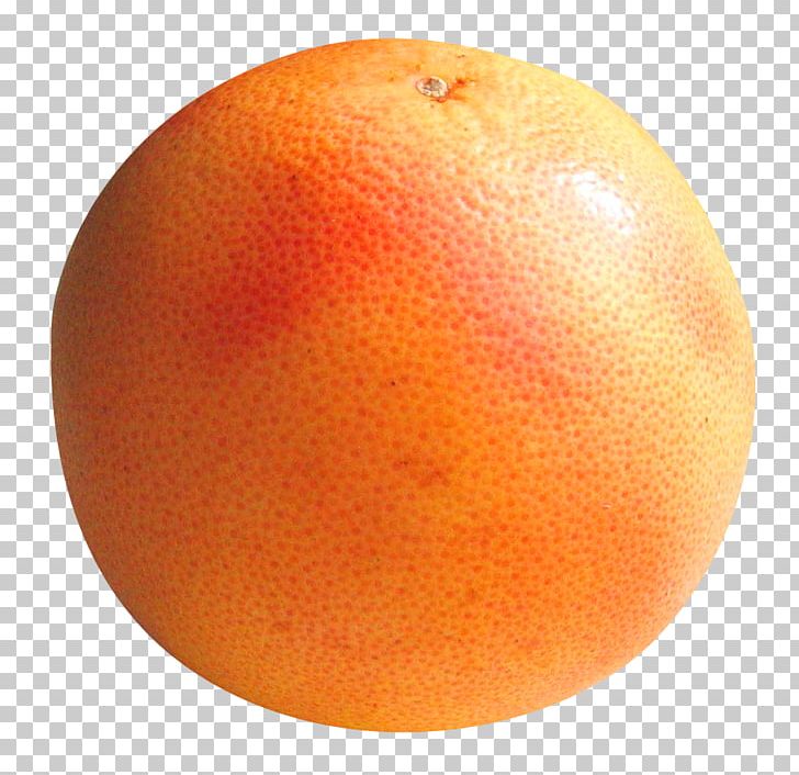 Grapefruit Blood Orange Pomelo PNG, Clipart, Blood Orange, Citric Acid, Citrus, Clementine, Computer Icons Free PNG Download
