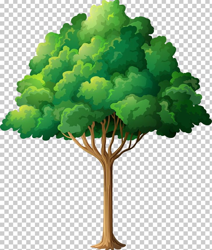 Tree Planting Branch PNG, Clipart, Branch, Cartoon, Christmas Tree ...