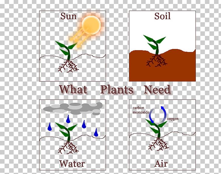 What Plants Need What A Plant! Why PNG, Clipart, Aquatic Plants, Area, Artwork, Branch, Brand Free PNG Download